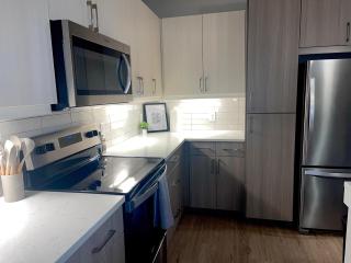 1200sf 2bed 2bath Apt near Medical City, Toyota Stadium and The Ford Center - 4