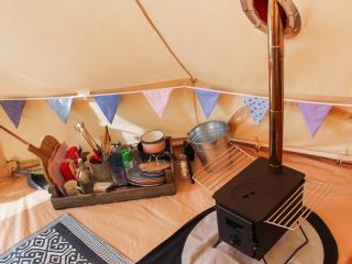 Cornflower - Uk51171 - 6