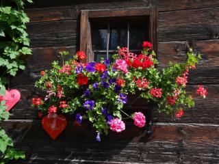 Landhaus Tippl - Aigen im Ennstal - 4