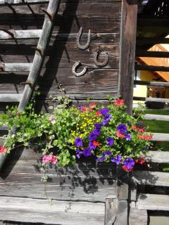 Landhaus Tippl - Aigen im Ennstal - 3