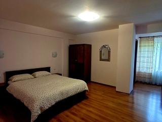 Belvedere GreșuLepșa - 4