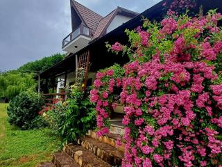 Belvedere GreșuLepșa - 6