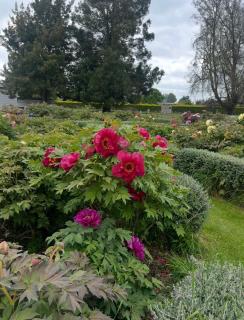 Green Hayes Estate Rentals - R1 Magnolia House - 3