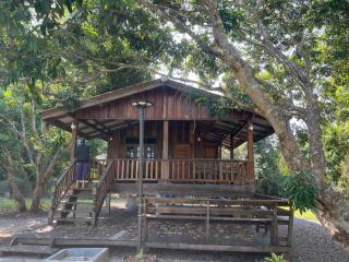 Hidden garden by Om - 3