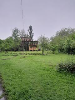 Riverside Nature - 9