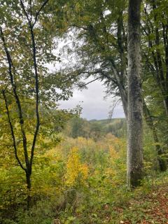 B&B Les Soigneurs - 2