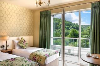 Woodenbridge Hotel - Arklow - 8