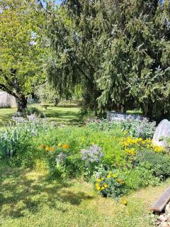 A l'orée des champs, 3 étoiles, climatisé, lit king-size - 1