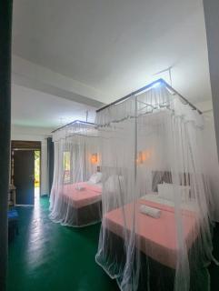 Winking nature view - 6