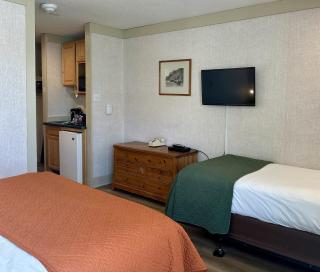 Mountainside Inn 117 by Alpine Lodging Telluride - 9