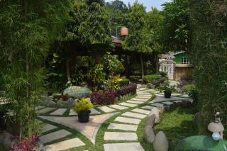 Junia Guesthouse Bukit Lawang - Bukit Lawang - 5