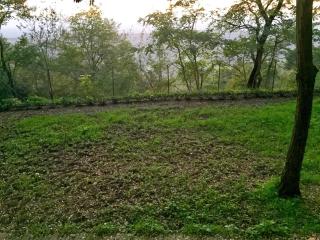 La terrazza sul borgo - 6