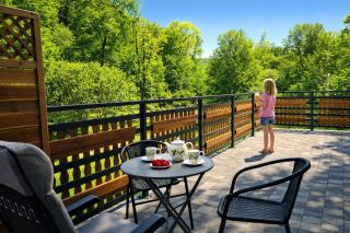 Willa Sowia nowy apartament z prywatnym tarasem i widokiem na góry - 8