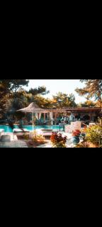 Casa Trees Hotel - 0