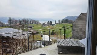 Lake panoramic view I 20 min to Interlaken - 9