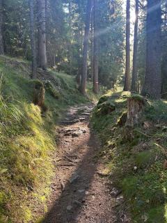 Haus Wolkenplatz Koralpe - 2