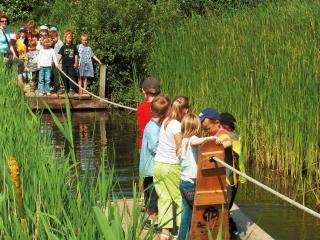 4 person holiday home in Wendtorf - Wendtorf - 9