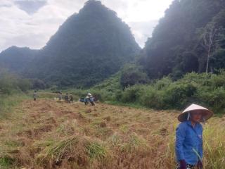 Triệu Hoan Homestay - 4