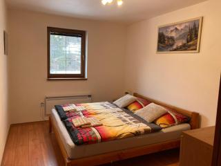 Apartmán pod kopcom - 8