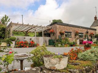 Ffynnonlwyd Cottage - rural holiday cottage with hot tub - 9