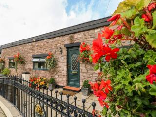 Ffynnonlwyd Cottage - rural holiday cottage with hot tub - 8