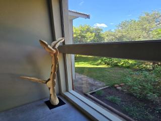 Nalas Rest at Kruger - 5