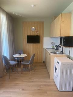 Bakuriani Apartment - 0