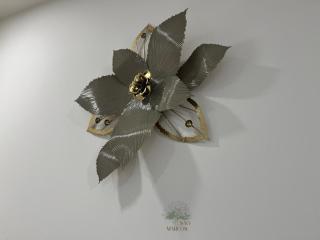 Quintal de São Marcos - 5