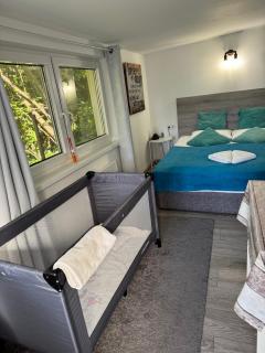 Balcsitthon Apartmanok - 7