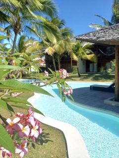 Casa accogliente giardino equatoriale e piscina - 8