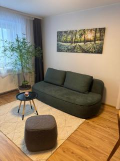 Urban Nest Čiurlionio Apartment City Center - 4