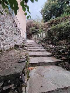 Belle maison cévenole, terrasse, vue panoramique - 4