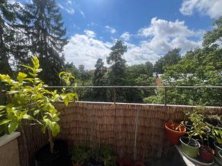 Cozy well connected family apartment - 1