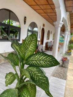 Hotel Eyram Kpalime - 2