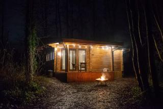 Log cabin in private woodland with lake - 0