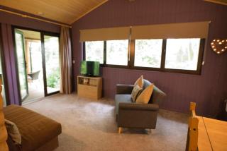 Log cabin in private woodland with lake - 4