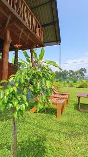 Lion Rock Haven Cabana - 7