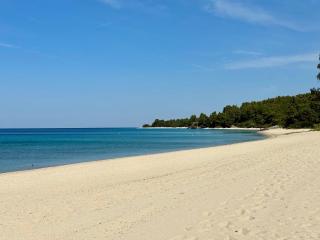 Stunning beachfront villa for rent - 2