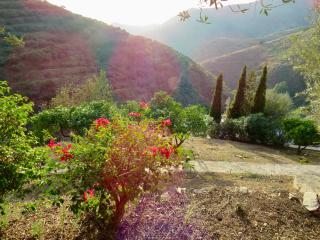 Finca RustiQ - Torrox - 4