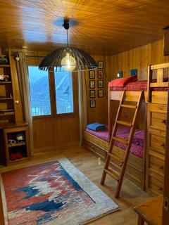 Les Bosquitos Chalet - 3