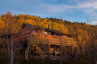 Natural Cabin Retreat - 0