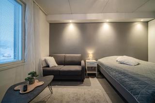 Sisu Stay Studio Jetset Levi - 3