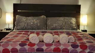 Oasis - Private Room near Yankee Stadium - Host Occupied - 1