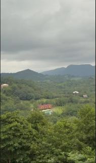 Food Delivery Taxi AI Powered Support - 6