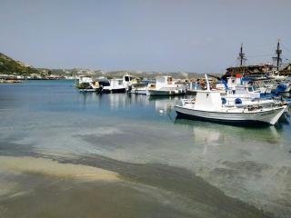 Xenia's Studio 4 - 1