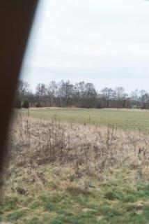 Bright Cozy 3BR Home for 8 - Overlooking Nature - 2