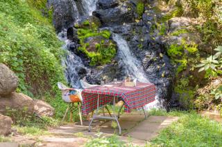 Paradise Farm Cottages by MOKAWA, Nyeri - 7