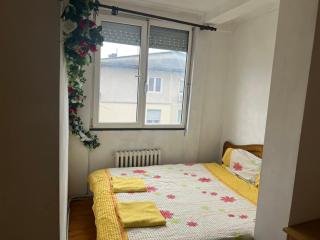 Klina Apartment - 1