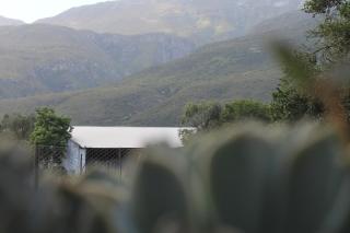 Lismore Guest Farm - 4