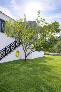 Elia & Petra Villa - 9